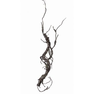 Branche décorative de saule JACE, brun-gris, 55cm