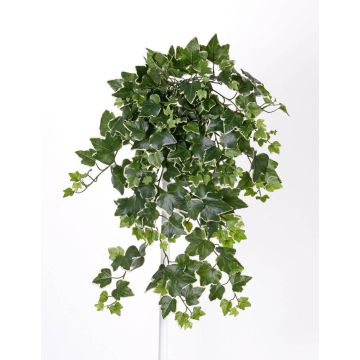 Buisson de lierre artificiel TILL, à piquer, crossdoor, vert-blanc, 65cm