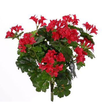 Géranium décoratif BERENIKE à planter, crossdoor, rouge, 40cm, Ø5-8cm