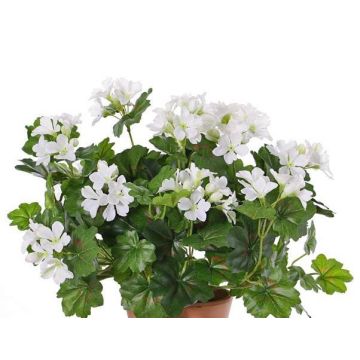 Géranium décoratif BERENIKE à planter, crossdoor, blanc, 40cm, Ø5-8cm