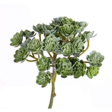 Succulente artificielle Echeveria BLAIR à planter, vert, 20cm, Ø10cm