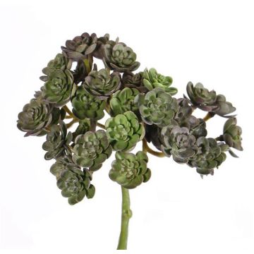 Succulente artificielle Echeveria BLAIR à planter, rouge-vert, 20cm, Ø10cm