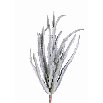 Cactus artificiel Euphorbia trigona REESE à planter, gris-vert, 30cm, Ø20cm