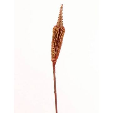 Fausse fleur Bulbinella TALUNA, brun-orange, 65cm, Ø6cm
