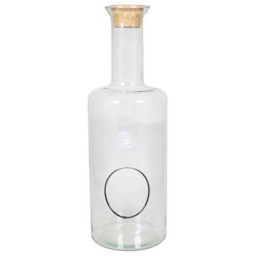 Vase terrarium en verre DRACO, couvercle en liège, ouverture latérale, transparent, 45cm, Ø6cm/Ø15cm
