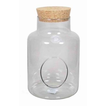 Vase terrarium en verre DONELL, couvercle en liège, ouverture latérale, transparent, 25cm, Ø10,5cm/Ø17cm
