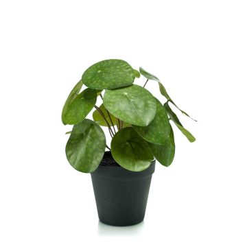 Plante du missionnaire artificielle SYBIL, piquet, vert, 20cm