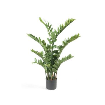 Plante décorative Zamioculcas SIMANO, 110cm