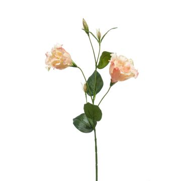 Fleur textile Lisianthus JENO, crème-rose, 60cm
