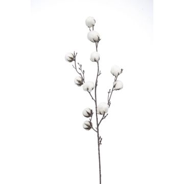 Branche de coton décorative CASAS, en fleurs, vert, 85cm
