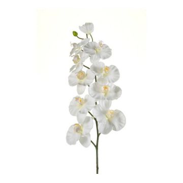 Branche d'orchidée phalaenopsis artificielle ANAT, crème, 100cm