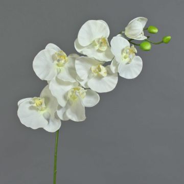 Orchidée Phalaenopsis artificielle BASTET, blanc, 80cm