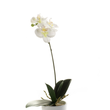 Fleur artificielle Orchidée ISIS, à piquer, blanc, 40cm