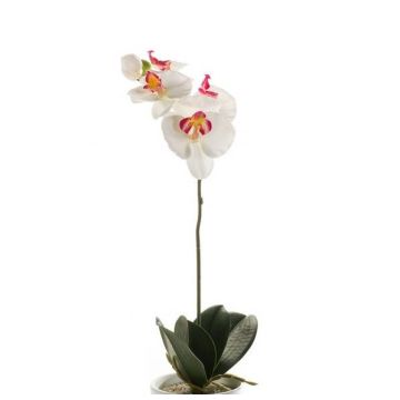 Fleur artificielle Orchidée ISIS, à piquer, blanc-rose, 40cm