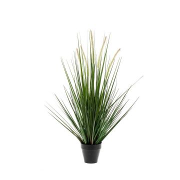 Herbe décorative OTIS avec panicules, vert, 55cm