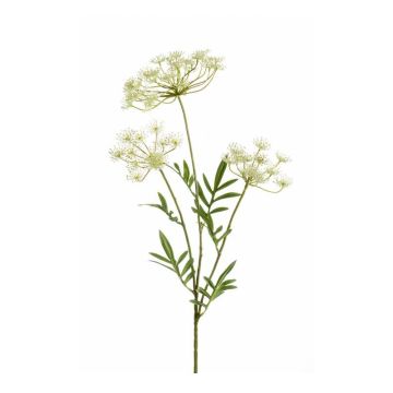 Branche décorative d'Aneth HAKIM avec fleurs, blanc, 80cm
