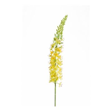 Fleur artificielle lis des steppes AOMORI, jaune, 105cm
