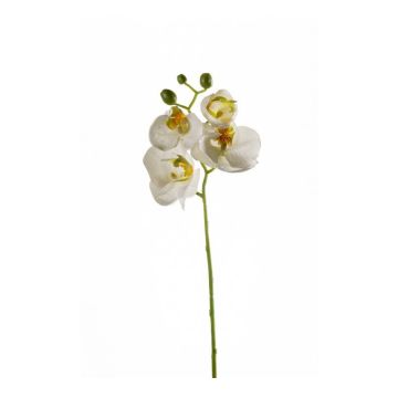 Orchidée Phalaenopsis artificielle MINA, blanc, 55cm