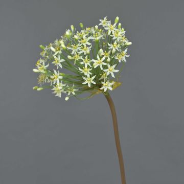 Fleur artificielle Allium BRAIS, blanc, 90cm