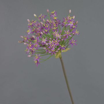 Fleur artificielle Allium BRAIS, violet, 90cm