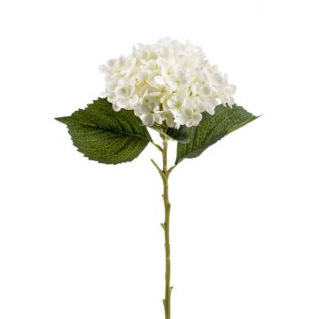 Fleur en tissu Hortensia EGIA, crème, 50cm