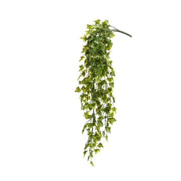 Buisson de lierre artificiel ZASE à planter, crossdoor, vert, 75cm