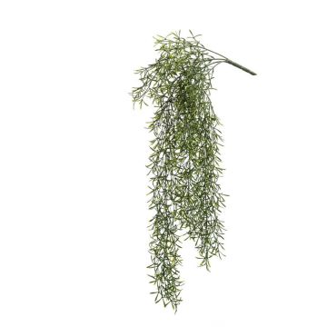 Cactus artificiel Rhipsalis PUEBLA à planter, vert, 75cm