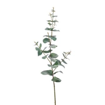 Branche décorative d'Eucalyptus CALLIOPE, vert-gris, 70cm
