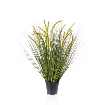 Graminée décorative CAREL avec panicules, vert, 70cm