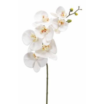 Tige d'orchidée artificielle NEITH, blanc, 85cm
