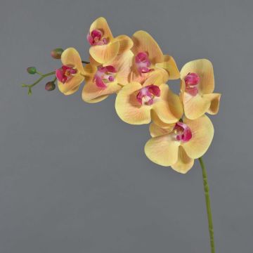 Tige d'orchidée artificielle NEITH, orange-rose, 85cm