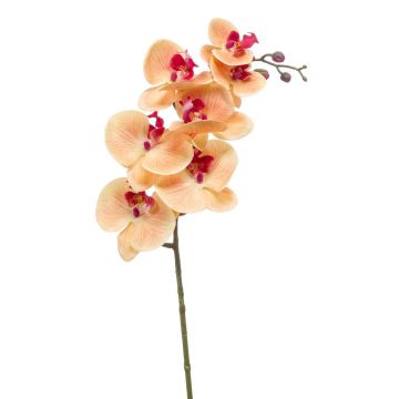 Tige d'orchidée artificielle NEITH, orange-rose, 85cm