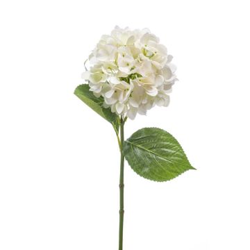 Fleur artificielle Hortensia ENEA, blanc, 65cm