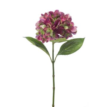 Fleur artificielle Hortensia ENEA, violet-vert, 65cm