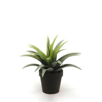 Plante artificielle Agave SEDA, vert, 20cm, Ø25cm