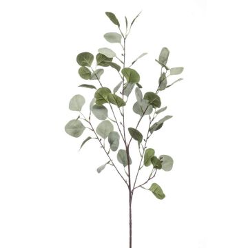 Branche d'eucalyptus décorative COLTON, vert-gris, 85cm