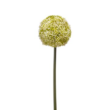 Allium artificiel BOUTROS, blanc-vert, 75cm
