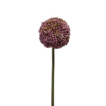 Allium artificiel BOUTROS, violet, 75cm