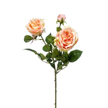 Fleur en tissu branche de rose CALISTA, crème-rose, 60cm