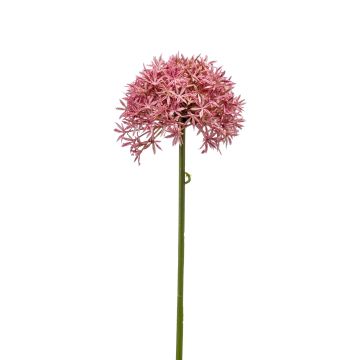 Fausse fleur Allium ARNAU, fuchsia, 60cm