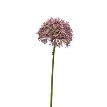 Fausse fleur Allium ARNAU, rose, 60cm