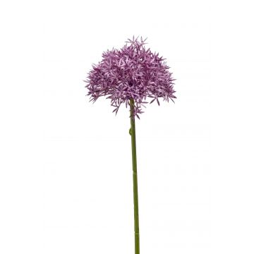 Fausse fleur Allium ARNAU, violet, 60cm