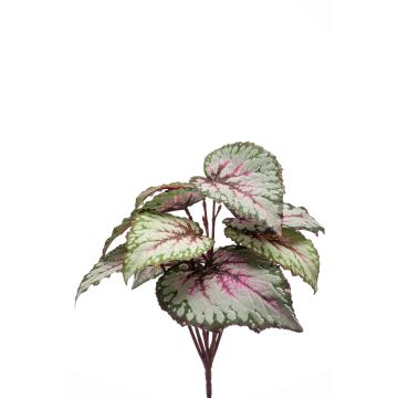 Plante artificielle Bégonia rex MEIRA à planter, vert-rose, 25cm