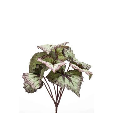 Plante artificielle Bégonia rex MEIRA à planter, vert-violet, 25cm