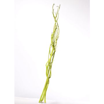 Branches de Mitsumata GERY, 3 pièces, vert clair, 105cm