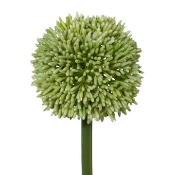 Fleur artificielle Allium MENKES, vert, 65cm
