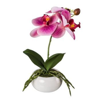 Orchidée Phalaenopsis artificielle KASDA, coupe en céramique, racines, rose fuchsia, 27cm