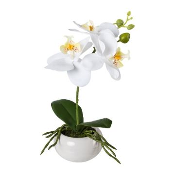 Orchidée Phalaenopsis artificielle KASDA, coupe en céramique, racines, blanc, 27cm