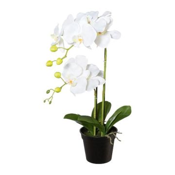 Orchidée Phalaenopsis artificielle WENJAN, pot décoratif, racines, blanc, 55cm