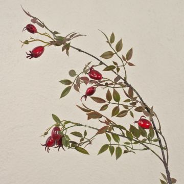 Fausse branche d'églantier VARDALIA avec des cynorrhodons, rouge, 95cm
